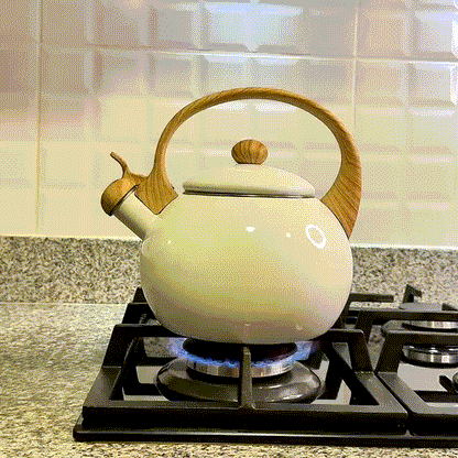 Tetera Amalia - 2.5 L  (Marca RECORD®)